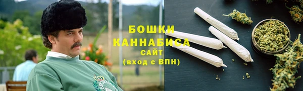 Альфа ПВП Гусев