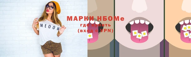 спайс Гусь-Хрустальный
