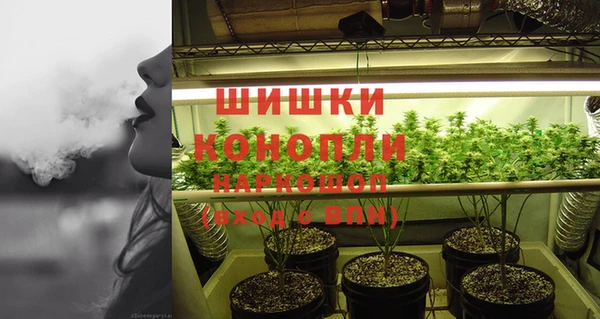 стафф Елабуга