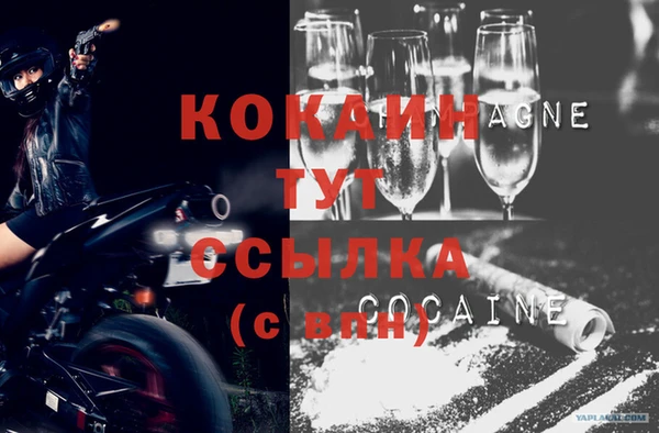 трава Гусиноозёрск