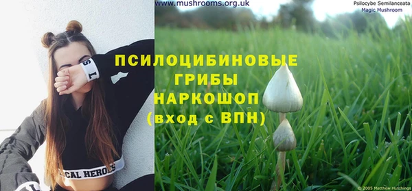 мяу мяу мука Вяземский