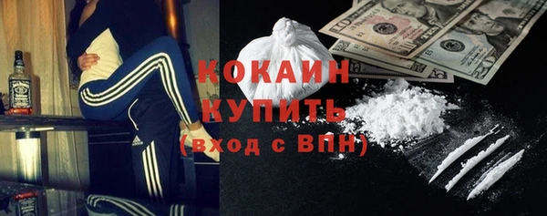 трава Гусиноозёрск