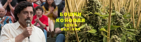 спайс Гусь-Хрустальный