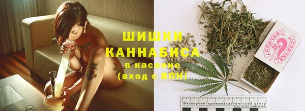 Альфа ПВП Гусев