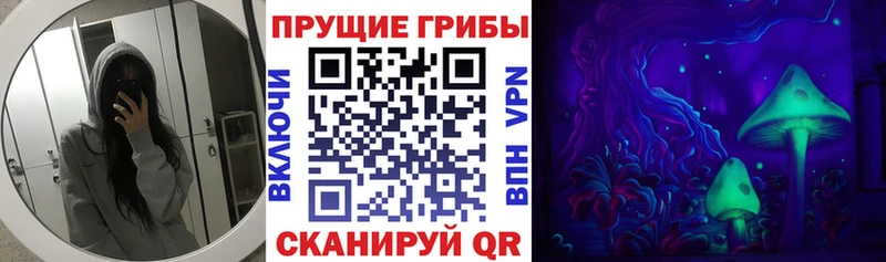 Галлюциногенные грибы мицелий  Дивногорск 